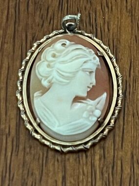 Vintage Cameo Pendant Necklace in Cream and Brown with Gold Frame